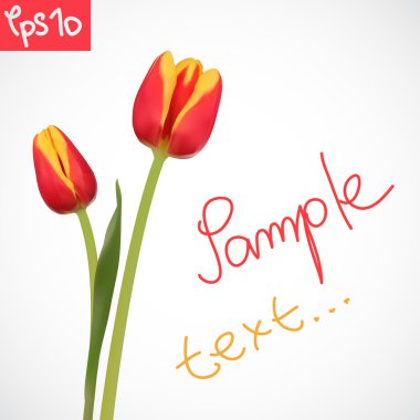 Tulipes