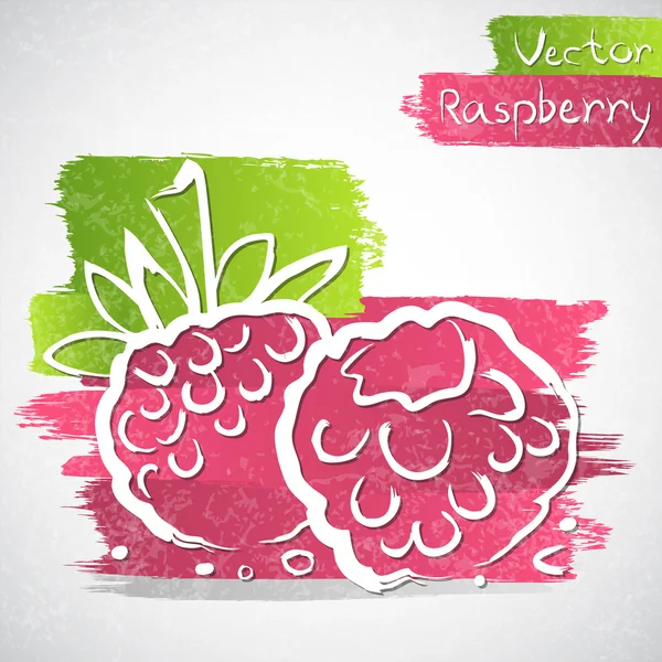 Raspberry - Stok Vektor