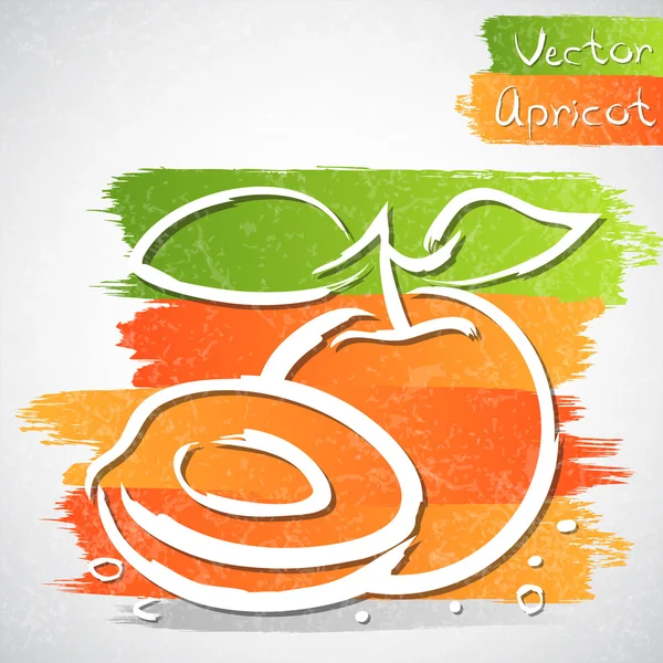 Abricot — Image vectorielle
