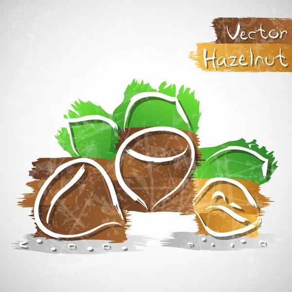 Hazelnut — Stock Vector