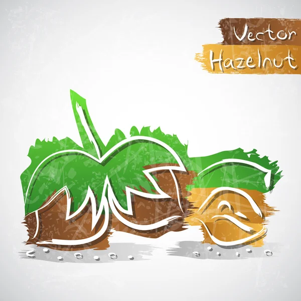 Hazelnoot — Stockvector