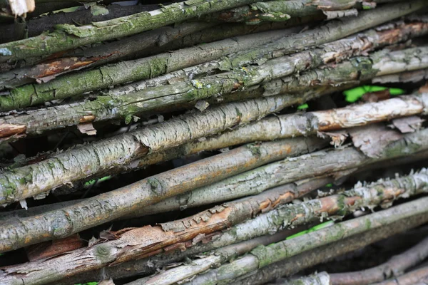 Barras de madera — Foto de Stock