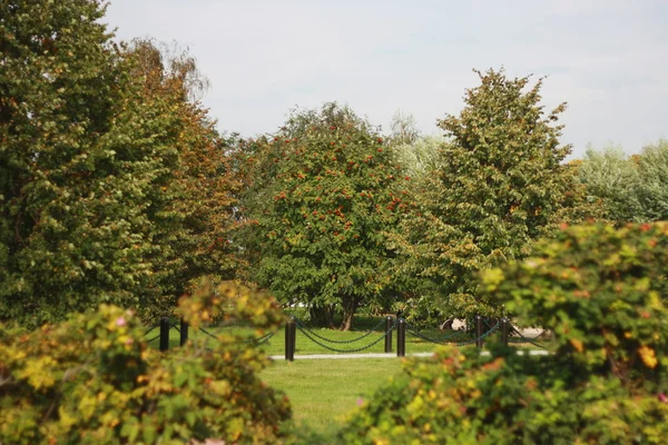 Herbstliche Landschaft — Stockfoto