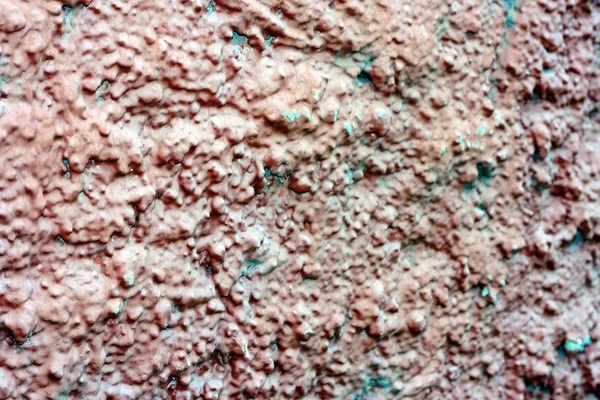페인트로 색칠 하는 석고 — 스톡 사진