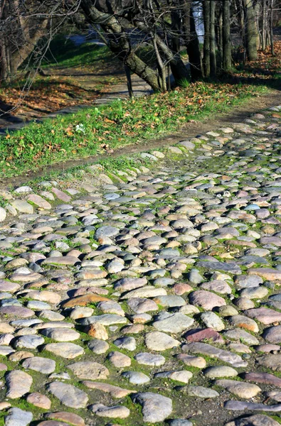 De weg van de natuurlijke steen — Stockfoto