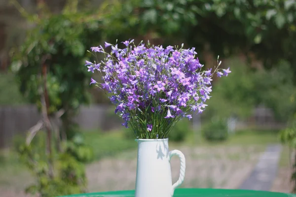Ramo de color lila en una jarra blanca — Foto de Stock