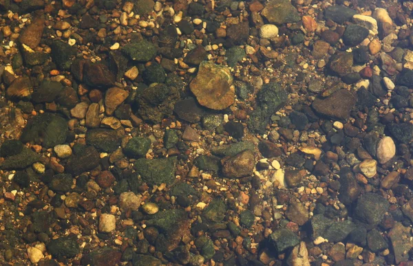 강 하단 — 스톡 사진