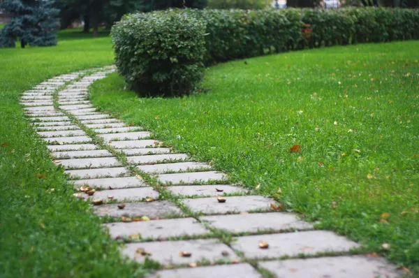 Pad in het park — Stockfoto