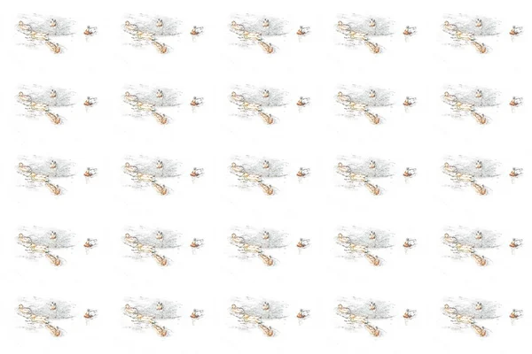 Białe tło z kaczki — Zdjęcie stockowe