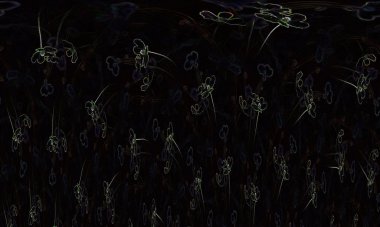 siyah zemin çiçek