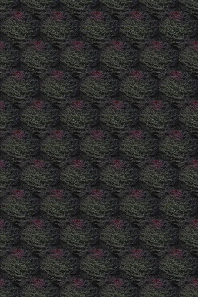 Black floral pattern — Stock Photo, Image