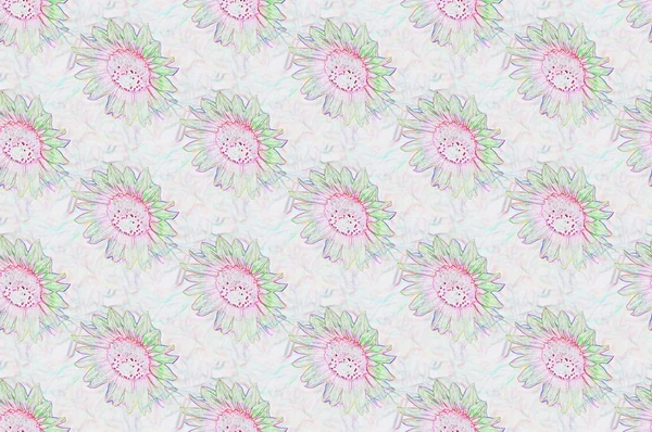 Floral background — Stock Photo, Image