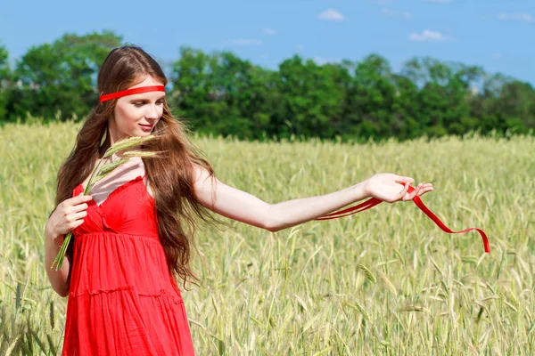 Dziewczyna w polu pszenicy z biurokracją — Zdjęcie stockowe