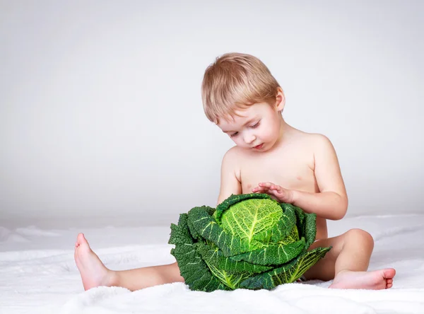 Junge mit Kohl, Studioaufnahme — Stockfoto