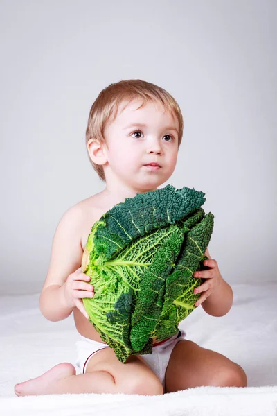 Junge mit Kohl, Studioaufnahme — Stockfoto