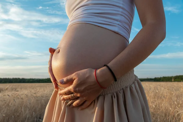 Belly Pregnant Woman Close Sunset — Stock Photo, Image
