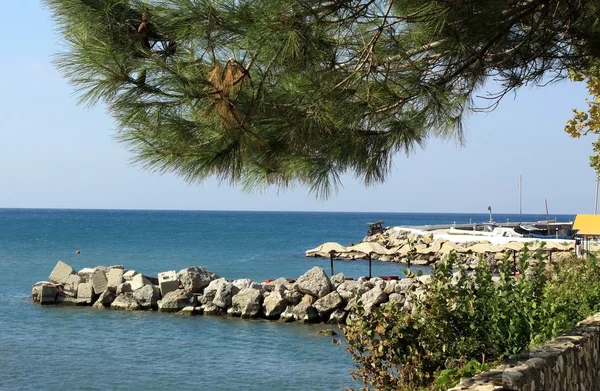 Yacht pier in summer — Stock Photo, Image