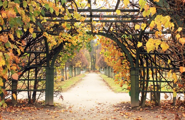 Dekoratif kafesdecoratieve Trelly