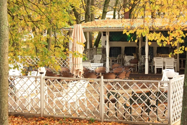 Café de verão no outono — Fotografia de Stock