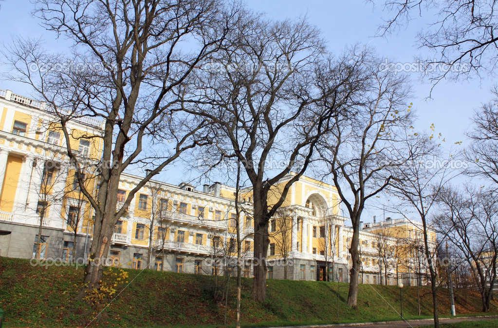 pingvin121674