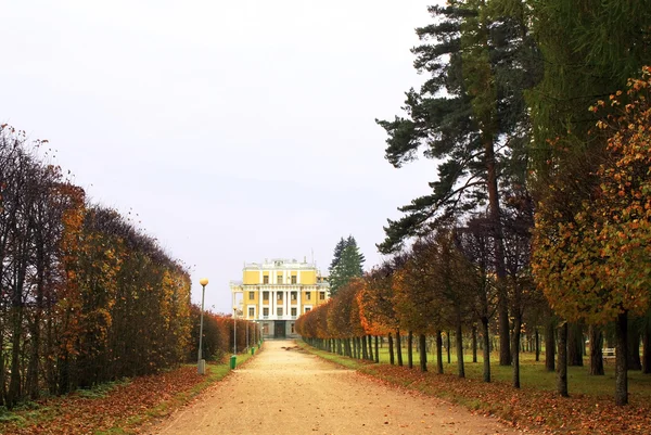 Dawny majątek wśród autumn drzewa — Zdjęcie stockowe