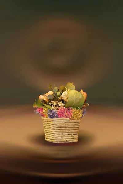 Nature morte avec des fleurs séchées — Photo