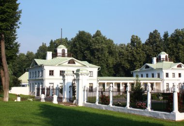 arka plan ağaç beyaz eski zaman binalar