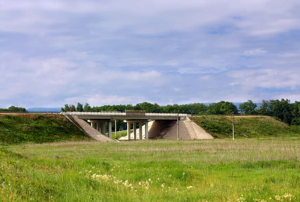 Summer landscape with bridge — Stock Photo, Image