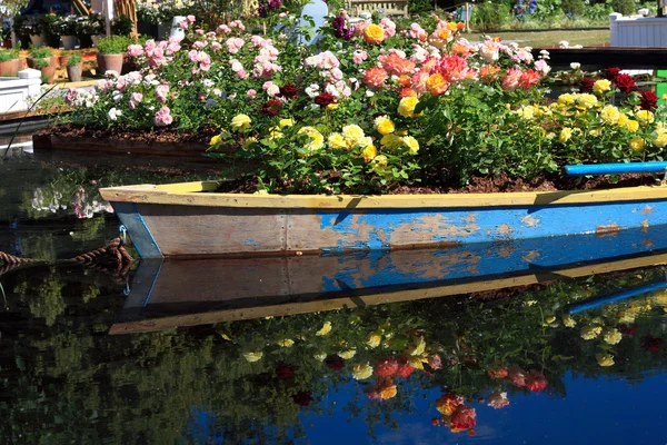 물 위에 꽃 — 스톡 사진