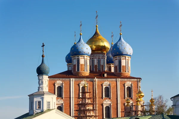 Ryazan Kremlin domes — Stock Photo, Image