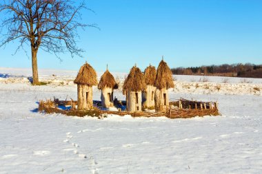 kuş yuvaları