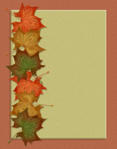 Thanksgiving Autumn Fall Background — Stock Photo, Image