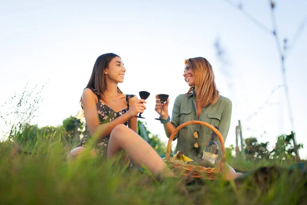Güzel Kızlar Üzüm Bağının Yakınındaki Bir Tarlada Şarap Tadıyorlar Başarılı — Stok fotoğraf