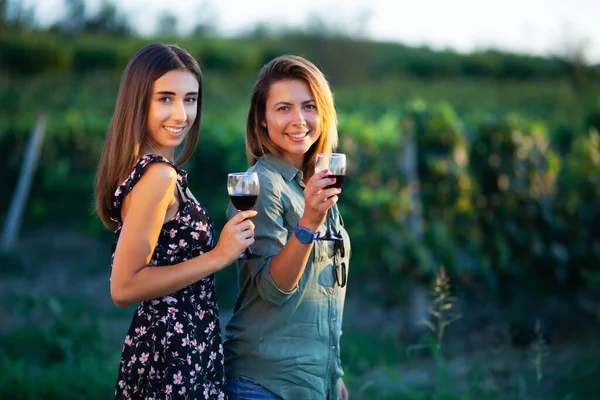 Meninas Bonitas Degustando Vinho Campo Perto Campo Vinha Celebrando Temporada — Fotografia de Stock