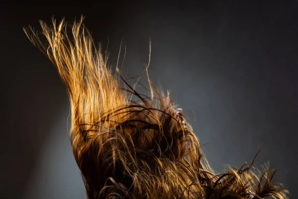 Textura Cabelo Ventoso Abstrato Sílhueta Retroiluminada Fundo Escuro — Fotografia de Stock