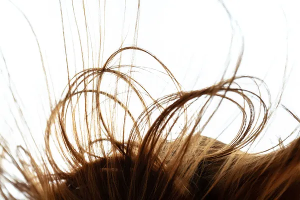 Větrné Vlasy Abstraktní Zblízka Vlasy Bílém Pozadí — Stock fotografie