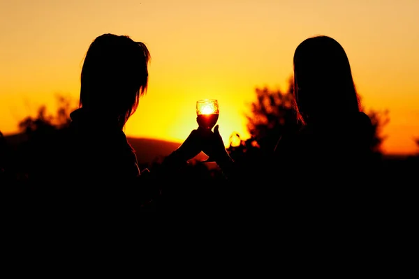 Silhouet Van Mooie Meisjes Juichen Met Wijnglas Bij Zonsondergang Buurt — Stockfoto