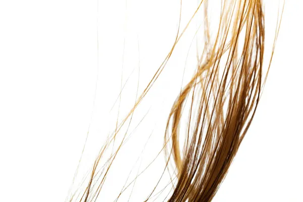 Ветреные Волосы Аннотация Крупным Планом Волос Белом Фоне — стоковое фото