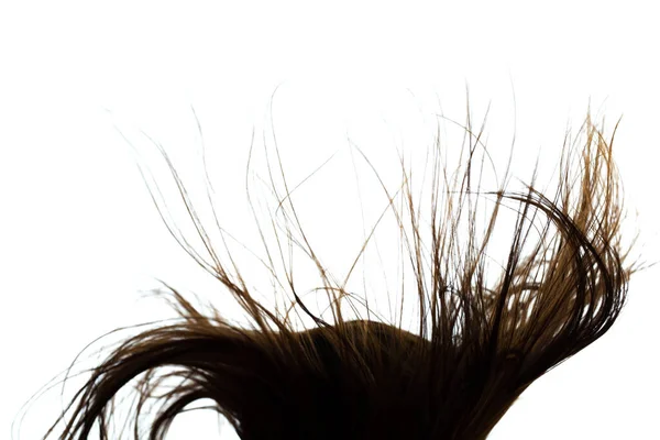 Abstract Windy Hair Texture Backlit Silhouette White Background — Stock Photo, Image