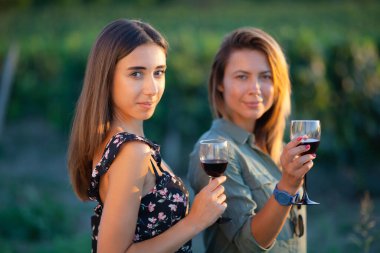 Güzel kızlar üzüm bağının yakınındaki bir tarlada şarap tadıyorlar. Başarılı hasat sezonunu kutluyoruz. Çiftin romantik bir randevusu var. Kırsal turizm kavramı..
