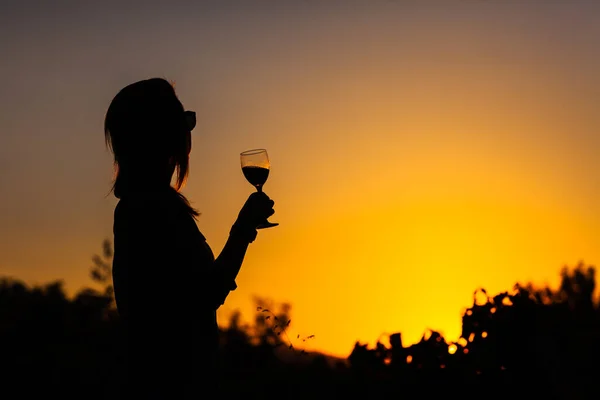 Silhouet Van Een Meisje Met Wijnglas Zonsondergang Natuur Buurt Van — Stockfoto
