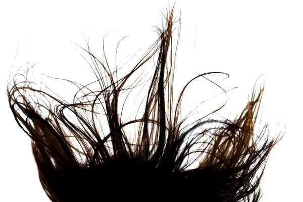 要旨風の強い髪の質感 白地にバックライト付きシルエット — ストック写真