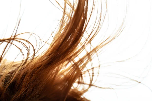 Rüzgarlı saçlar. Beyaz arkaplandaki tüyleri özetle.