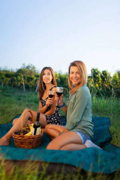 漂亮的姑娘在葡萄园附近的田里品酒 庆祝成功的收获季节 夫妇有一个浪漫的约会 农村旅游概念 — 图库照片