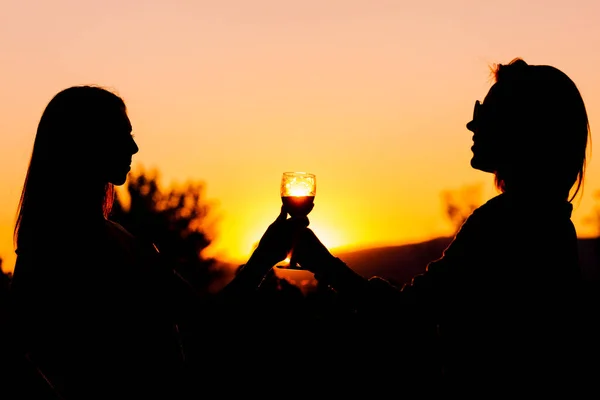 Silhouet Van Mooie Meisjes Juichen Met Wijnglas Bij Zonsondergang Buurt — Stockfoto