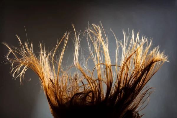 Textura Cabelo Ventoso Abstrato Sílhueta Retroiluminada Fundo Escuro — Fotografia de Stock