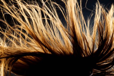 Soyut rüzgarlı saç dokusu. Koyu arkaplanda ışıklandırılmış siluet.