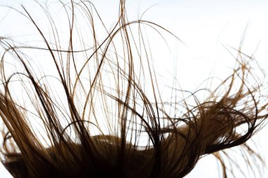 Soyut rüzgarlı saç dokusu. Beyaz arkaplanda arkaplan aydınlatma silueti.