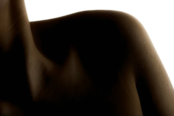 Silhouette Absztrakt Bodu Felvétel Egy Gyönyörű Lányról Fehér Háttérrel Nyak — Stock Fotó
