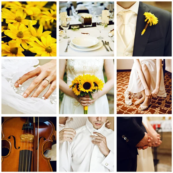 Hochzeitscollage — Stockfoto